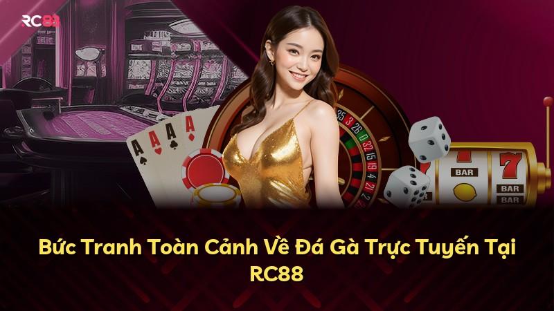 Bức Tranh Toàn Cảnh Về Đá Gà Trực Tuyến Tại RC88
