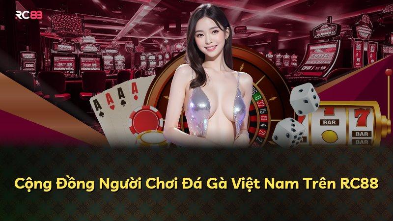 Cộng Đồng Người Chơi Đá Gà Việt Nam Trên RC88